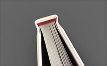 cabezada_RED_libro - ProPrintweb