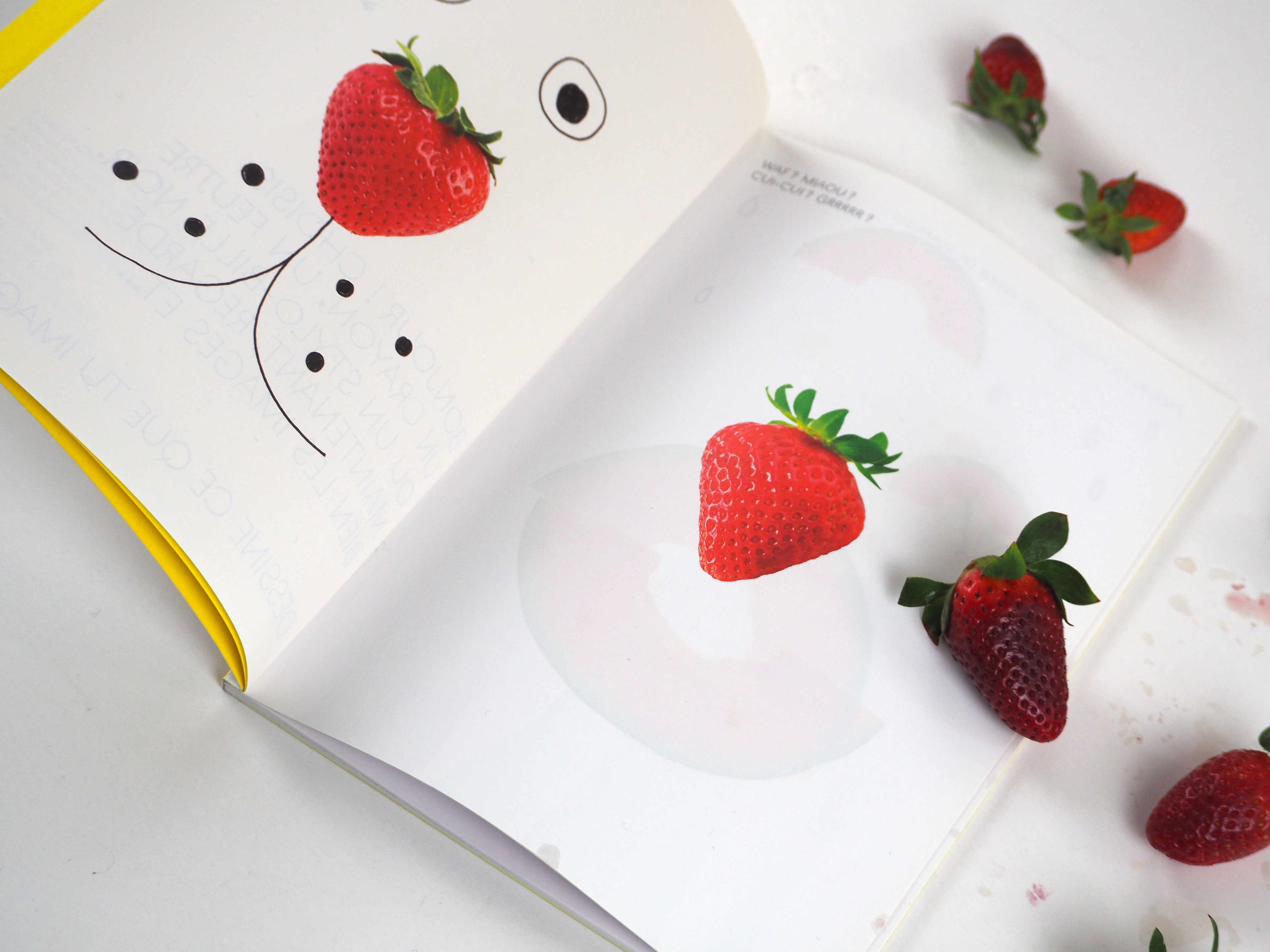 Foto estudio libro fresas