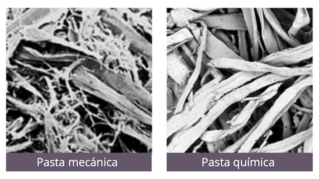 Tipos de pasta de papel