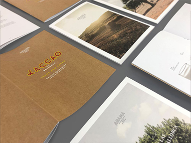 Catálogo impreso personalizado grapado - ProPrintweb
