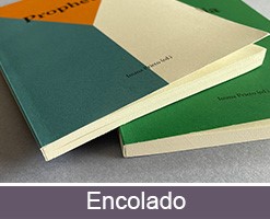 Imprimir Libros personalizados encolados