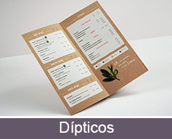 Imprimir folletos plegables personalizados dípitco