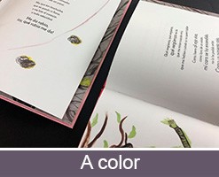 imprimir libros personalizables a color