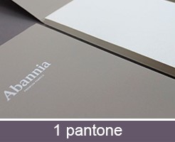 1 pantone Imprimir bloc de notas con tinta personalizada