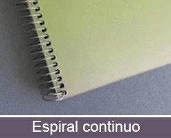 espiral continuo Tipos de agenda coroporattiva