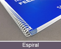 Diferencia agendas personalizadas espiral