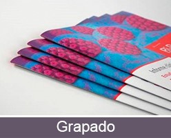 Impresión de catálogos personalizados con encuadernación grapada