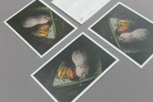 Imprimir flyers plastificados personalizados