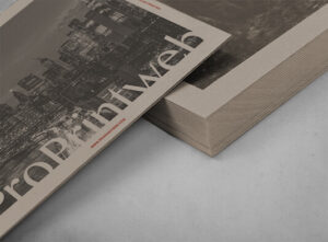 Impresión de tarjetas postales personalizadas express